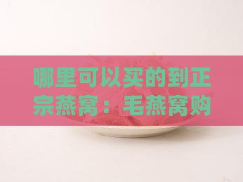 哪里可以买的到正宗燕窝：毛燕窝购买指南