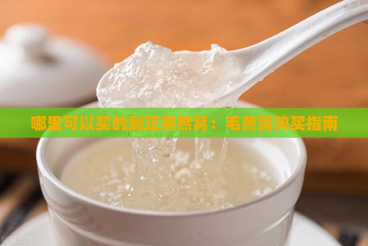 哪里可以买的到正宗燕窝：毛燕窝购买指南