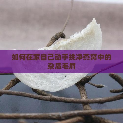 如何在家自己动手挑净燕窝中的杂质毛屑