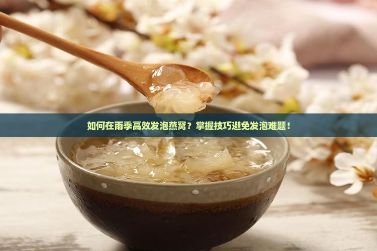 如何在雨季高效发泡燕窝？掌握技巧避免发泡难题！