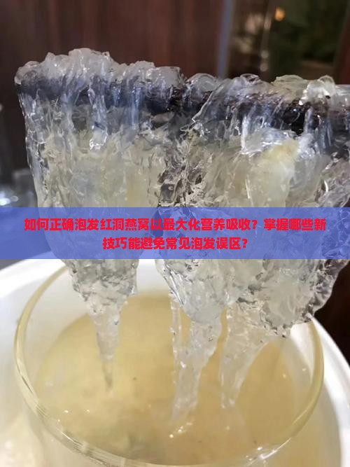 如何正确泡发红洞燕窝以最大化营养吸收？掌握哪些新技巧能避免常见泡发误区？