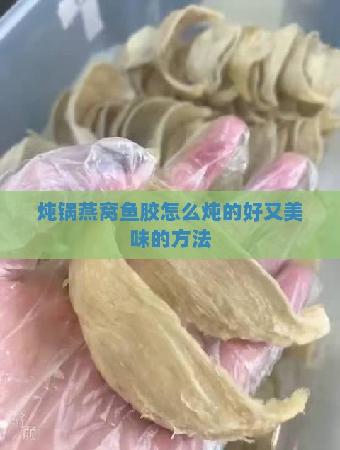 炖锅燕窝鱼胶怎么炖的好又美味的方法