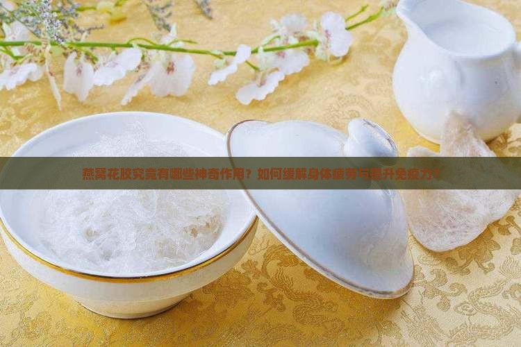 燕窝花胶究竟有哪些神奇作用？如何缓解身体疲劳与提升免疫力？