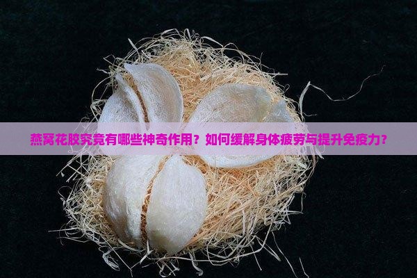 燕窝花胶究竟有哪些神奇作用？如何缓解身体疲劳与提升免疫力？