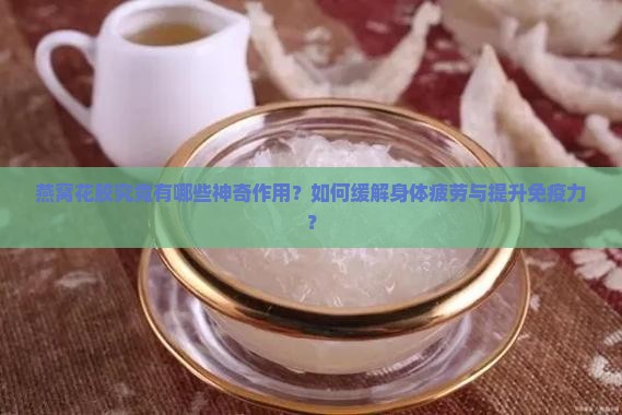 燕窝花胶究竟有哪些神奇作用？如何缓解身体疲劳与提升免疫力？