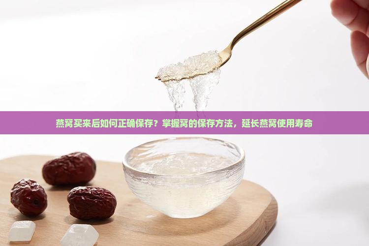 燕窝买来后如何正确保存？掌握窝的保存方法，延长燕窝使用寿命