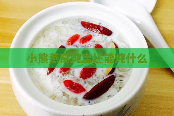 小熊燕窝炖盅还能炖什么