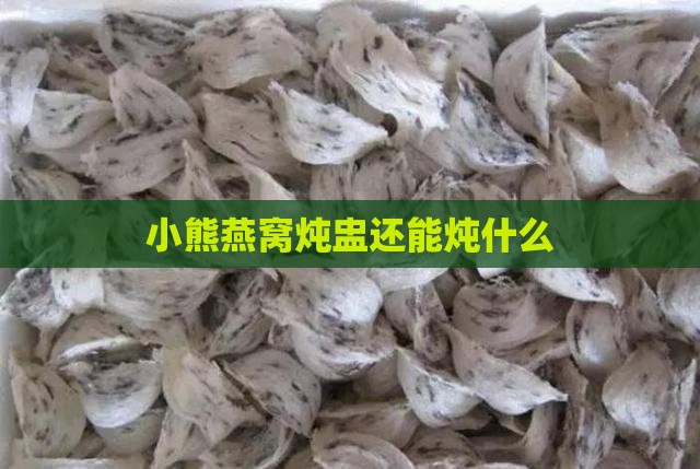 小熊燕窝炖盅还能炖什么