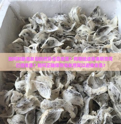 如何判断泡发后的燕窝是否变质？有哪些迹象表明燕窝已经变质？如何正确保存泡发燕窝以避免变质？