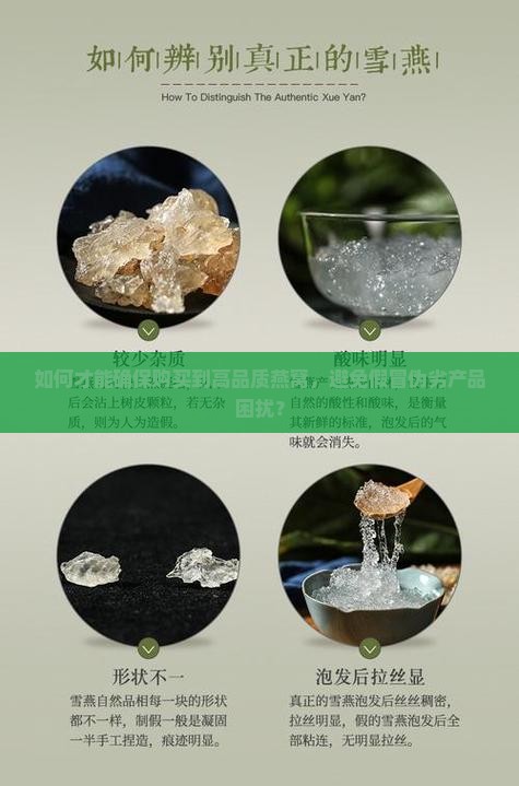 如何才能确保购买到高品质燕窝，避免假冒伪劣产品困扰？