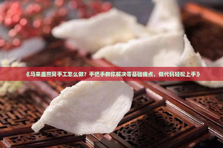 《马来盏燕窝手工怎么做？手把手教你解决零基础痛点，低代码轻松上手》