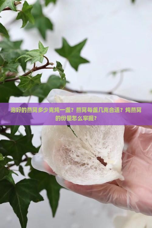 泡好的燕窝多少克炖一盏？燕窝每盏几克合适？炖燕窝的份量怎么掌握？
