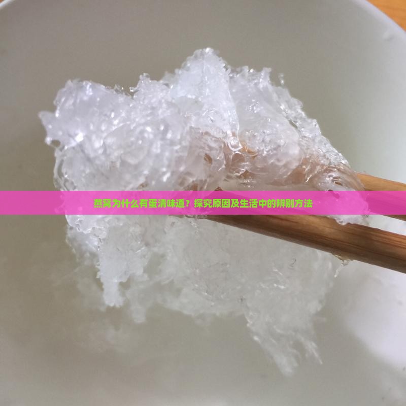 燕窝为什么有蛋清味道？探究原因及生活中的辨别方法