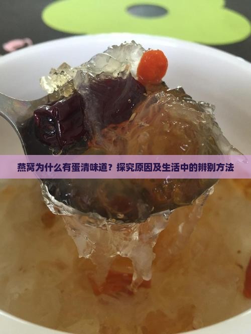 燕窝为什么有蛋清味道？探究原因及生活中的辨别方法