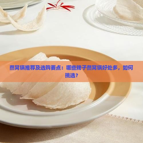 燕窝锅推荐及选购要点：哪些牌子燕窝锅好处多，如何挑选？