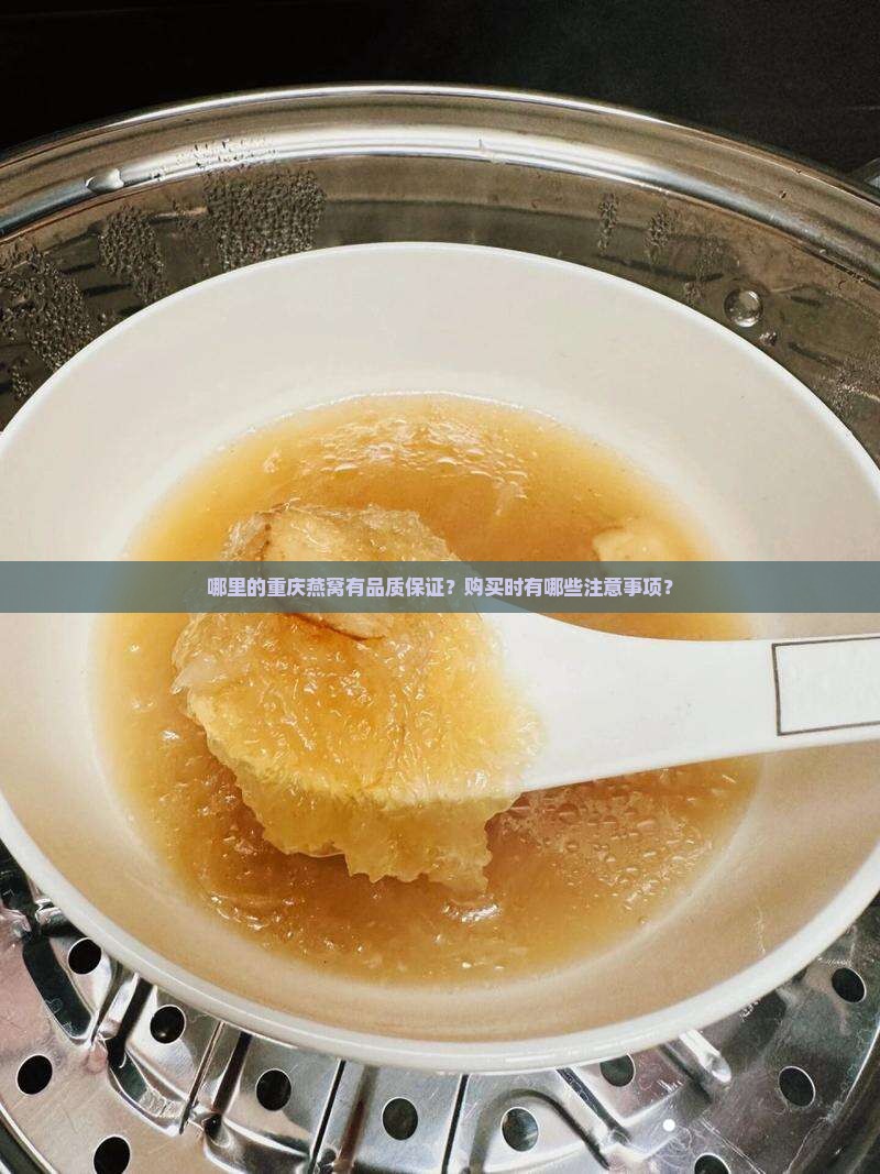 哪里的重庆燕窝有品质保证？购买时有哪些注意事项？