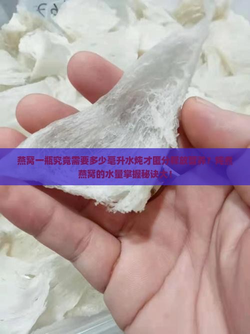 燕窝一瓶究竟需要多少毫升水炖才匿分释放营养？炖煮燕窝的水量掌握秘诀大！