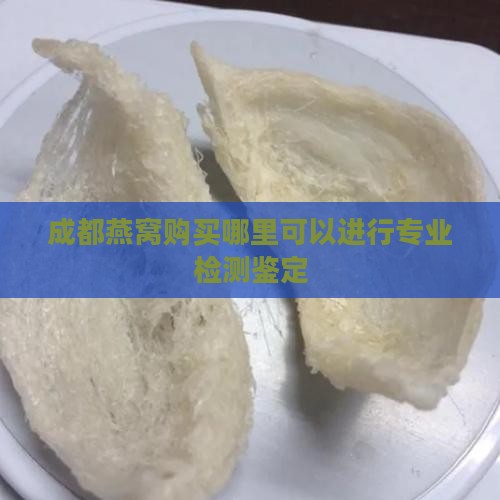 成都燕窝购买哪里可以进行专业检测鉴定 成都燕窝购买哪里可以进行专业检测鉴定
