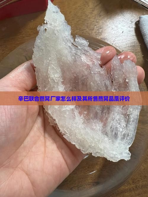 辛巴联合燕窝厂家怎么样及其所售燕窝品质评价