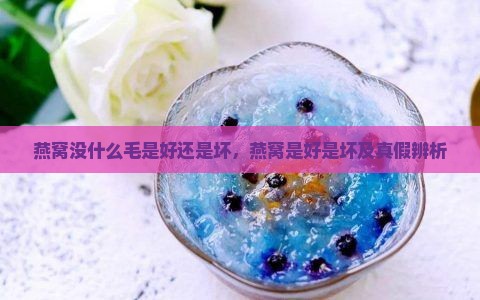 燕窝没什么毛是好还是坏，燕窝是好是坏及真假辨析