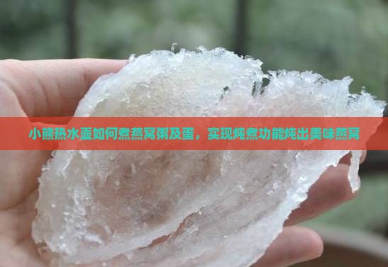 小熊热水壶如何煮燕窝粥及蛋，实现炖煮功能炖出美味燕窝