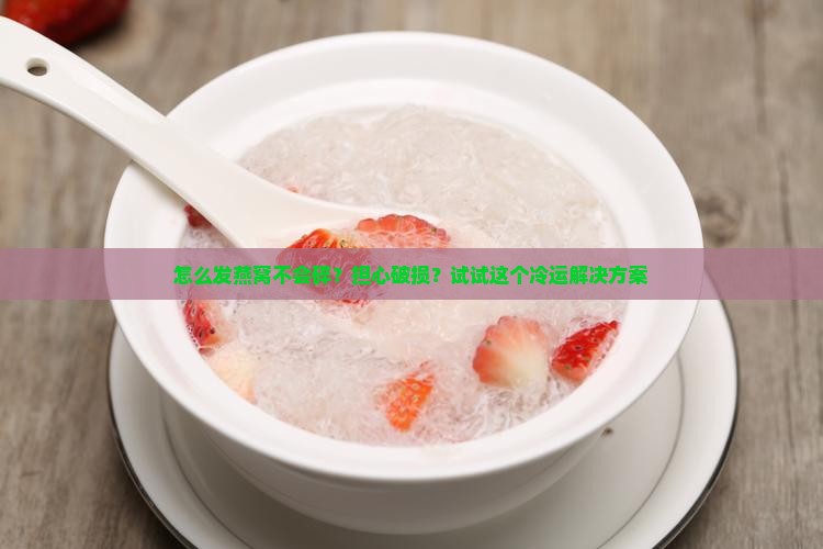 怎么发燕窝不会碎？担心破损？试试这个冷运解决方案