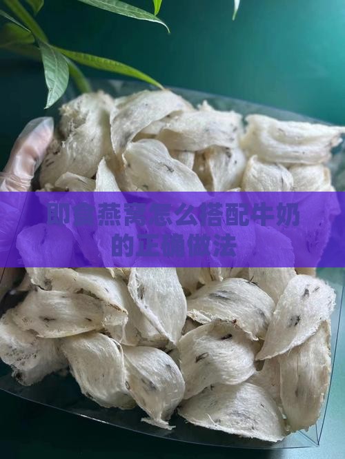 即食燕窝怎么搭配牛奶的正确做法