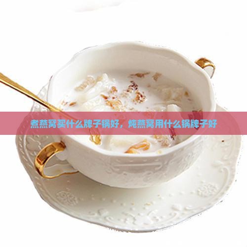 煮燕窝买什么牌子锅好，炖燕窝用什么锅牌子好