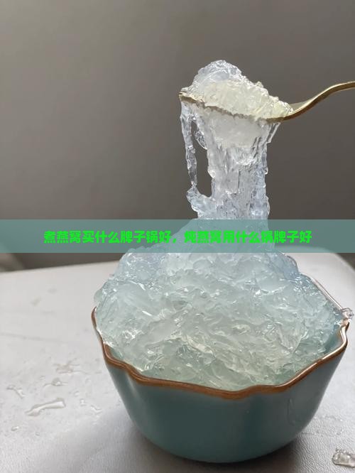 煮燕窝买什么牌子锅好，炖燕窝用什么锅牌子好
