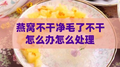 燕窝不干净毛了不干怎么办怎么处理