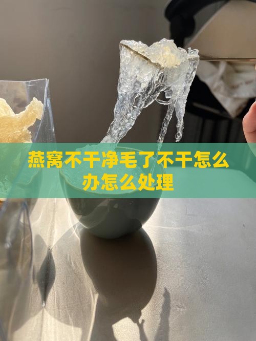 燕窝不干净毛了不干怎么办怎么处理