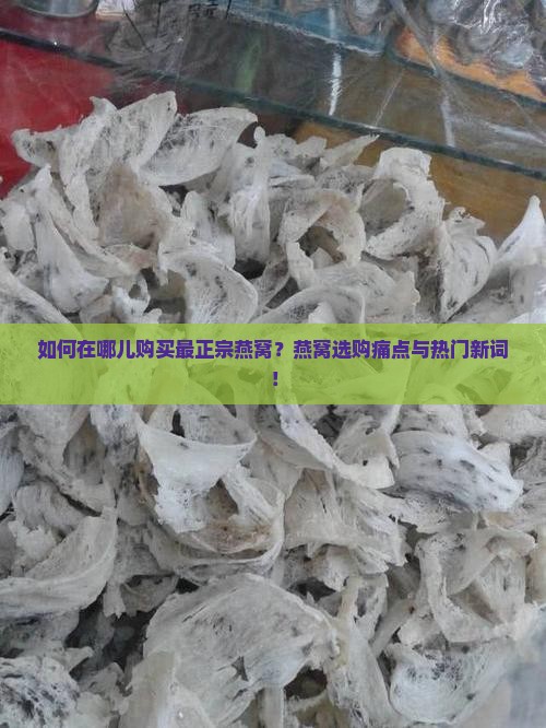 如何在哪儿购买最正宗燕窝？燕窝选购痛点与热门新词！