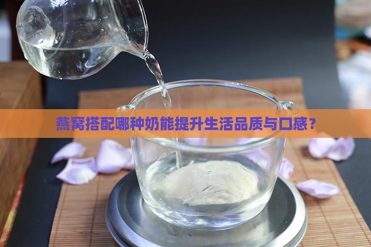 燕窝搭配哪种奶能提升生活品质与口感？