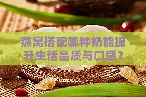 燕窝搭配哪种奶能提升生活品质与口感？