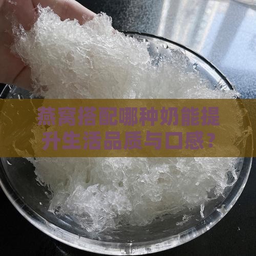 燕窝搭配哪种奶能提升生活品质与口感？