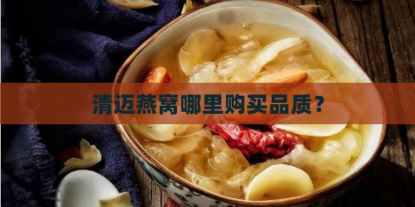 清迈燕窝哪里购买品质？