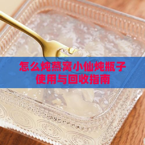 怎么炖燕窝小仙炖瓶子使用与回收指南