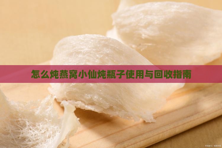 怎么炖燕窝小仙炖瓶子使用与回收指南
