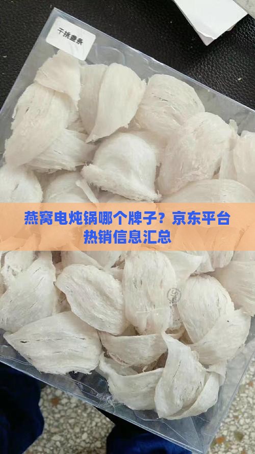 燕窝电炖锅哪个牌子？京东平台热销信息汇总