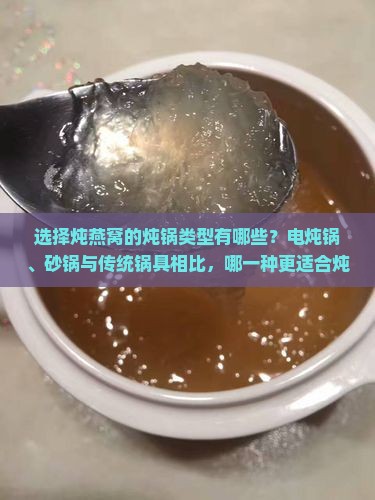 选择炖燕窝的炖锅类型有哪些？电炖锅、砂锅与传统锅具相比，哪一种更适合炖燕窝？