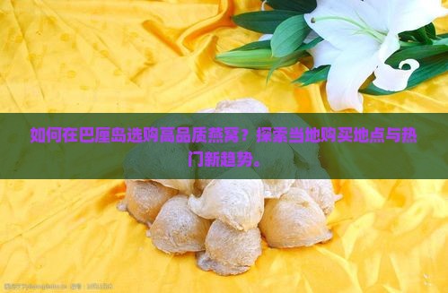 如何在巴厘岛选购高品质燕窝？探索当地购买地点与热门新趋势。