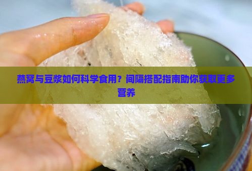 燕窝与豆浆如何科学食用？间隔搭配指南助你获取更多营养