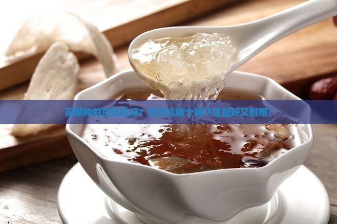 买哪种的燕窝机好？燕窝机哪个牌子质量好又耐用？