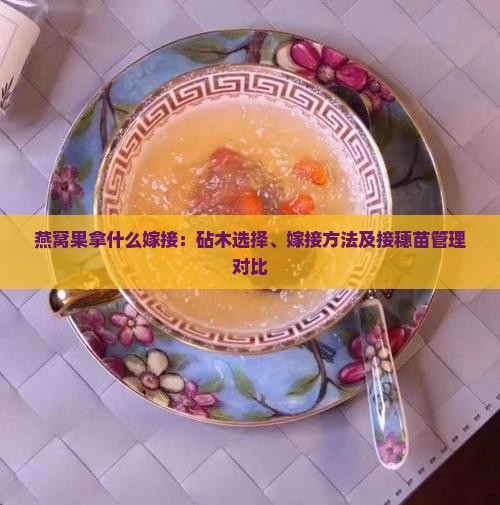 燕窝果拿什么嫁接：砧木选择、嫁接方法及接穗苗管理对比