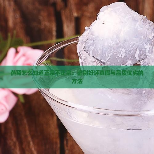 燕窝怎么知道正宗不正宗：鉴别好坏真假与品质优劣的方法