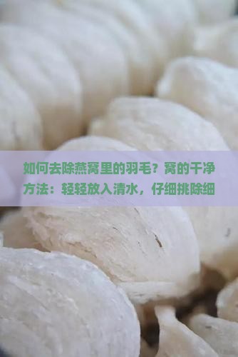 如何去除燕窝里的羽毛？窝的干净方法：轻轻放入清水，仔细挑除细毛
