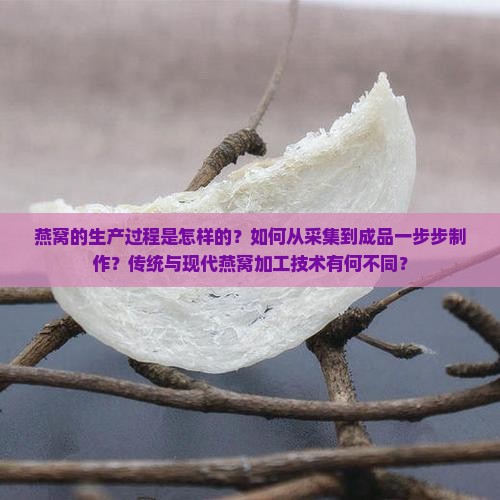燕窝的生产过程是怎样的？如何从采集到成品一步步制作？传统与现代燕窝加工技术有何不同？