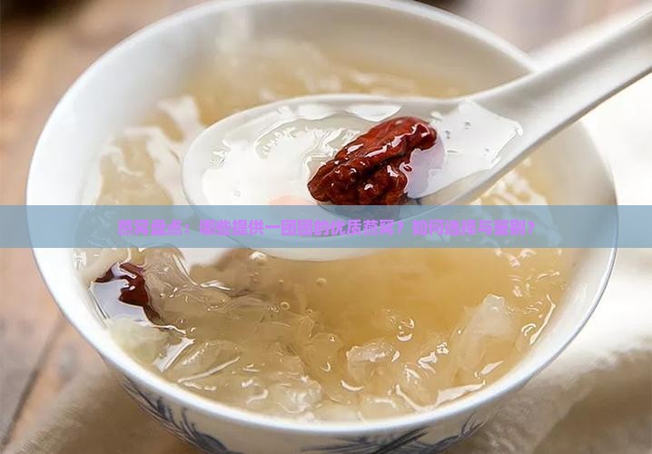 燕窝盘点：哪些提供一团团的优质燕窝？如何选择与鉴别？