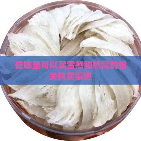 在哪里可以买雪燕和燕窝的相关购买渠道