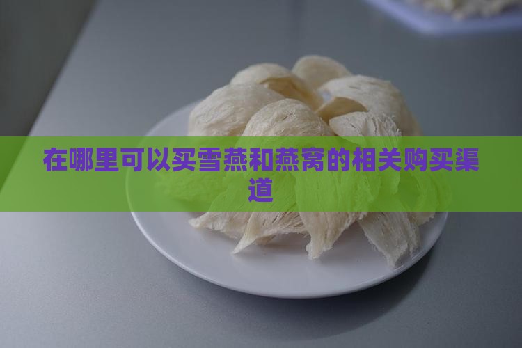 在哪里可以买雪燕和燕窝的相关购买渠道